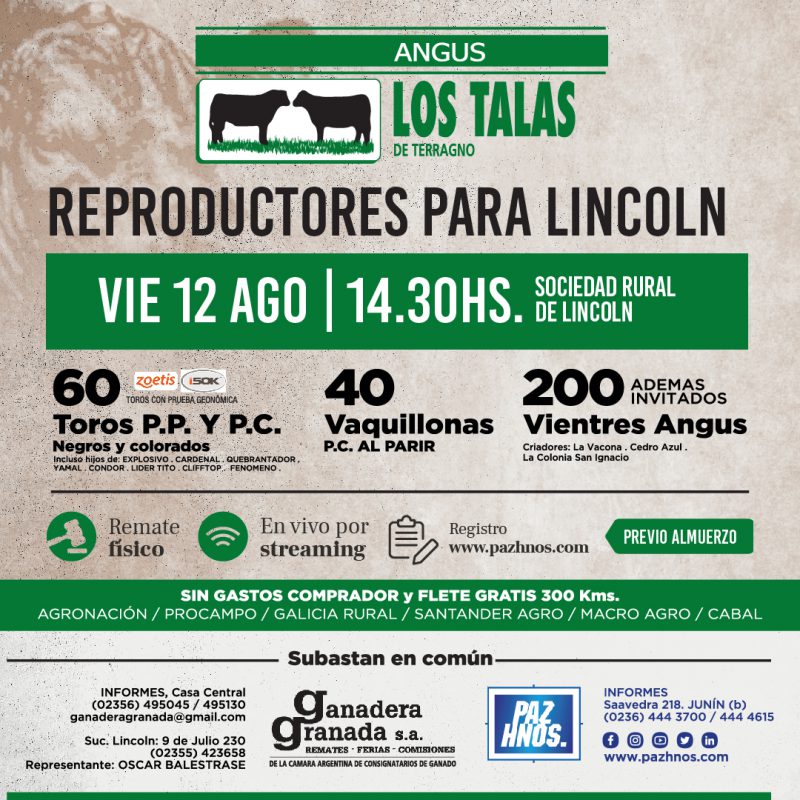 Reproductores Lincoln 2023