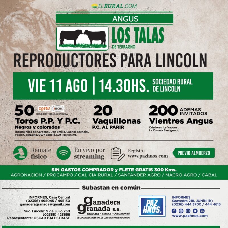 Reproductores Lincoln 2023