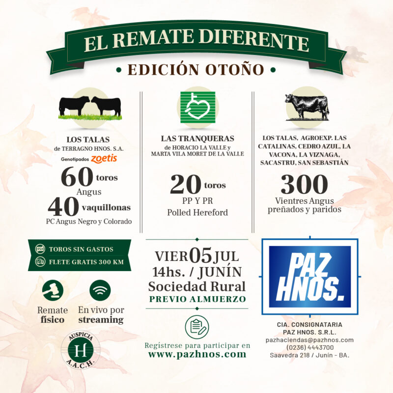 El Remate Diferente - Otoño 2024