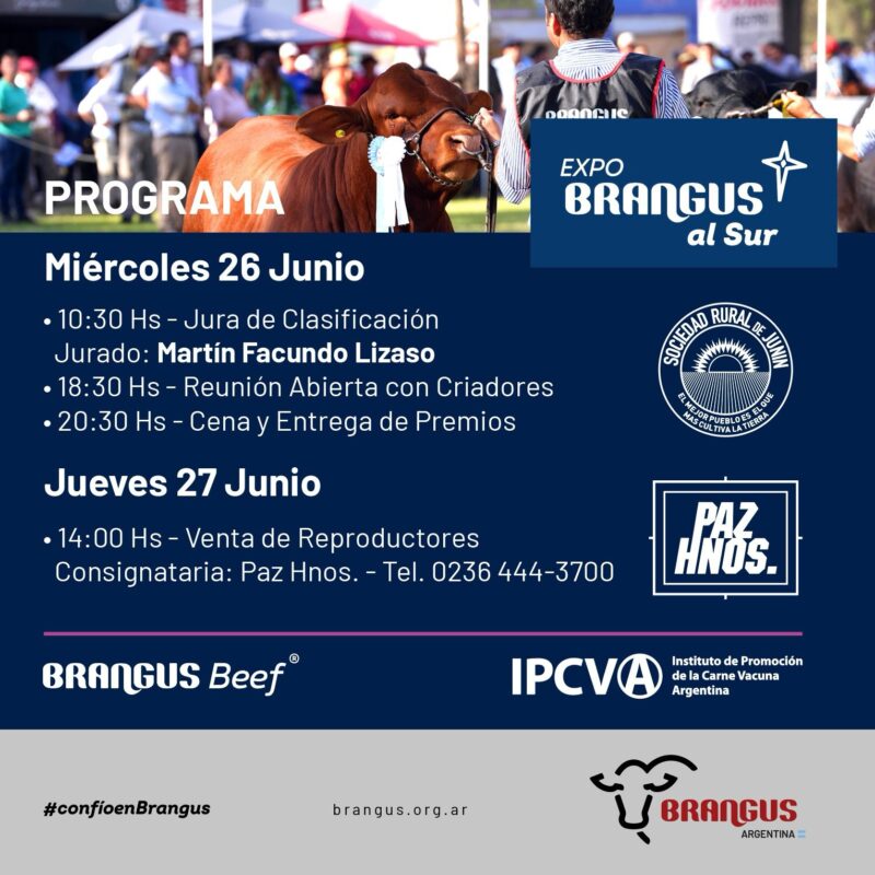 Remate Expo Brangus al Sur 2024