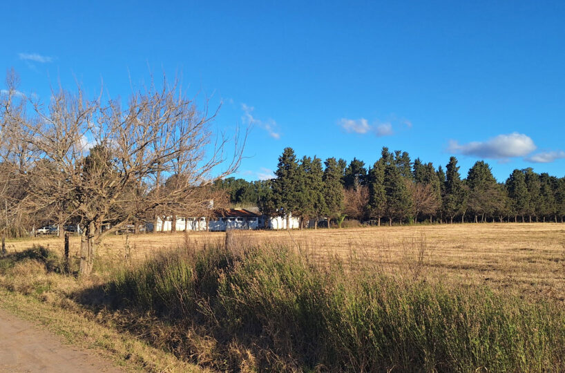 Quinta Borchex y La Plata