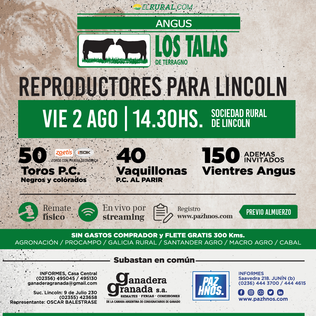 Reproductores Lincoln 2024