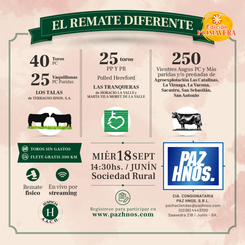 Feed remate primavera 2024_01