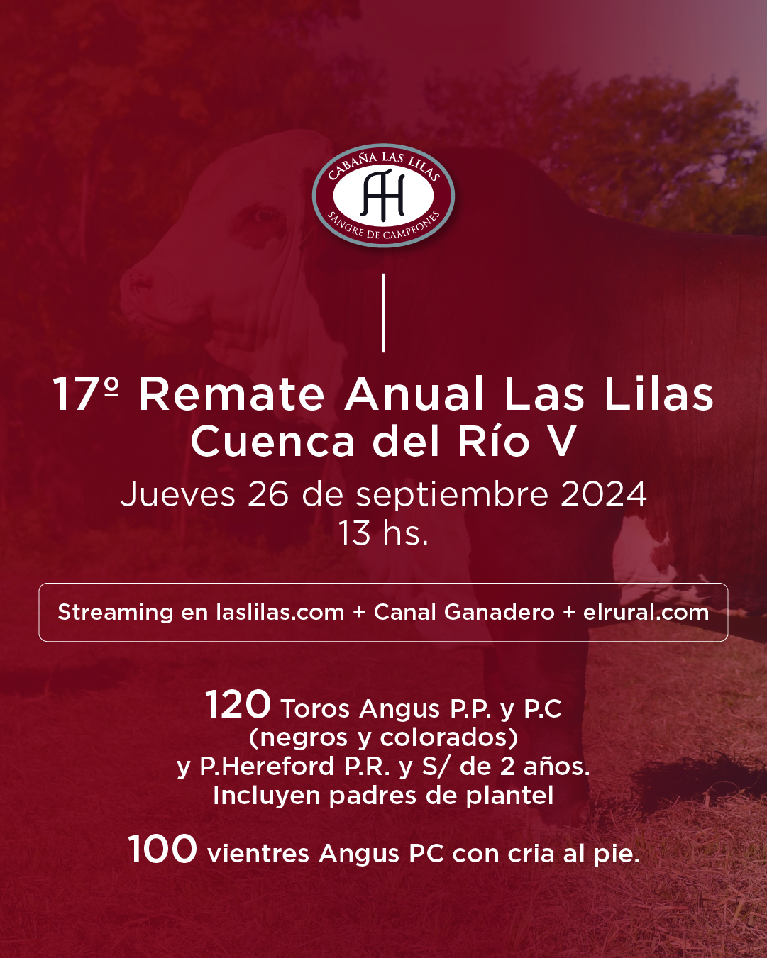 17° Remate Cuenca del Río V