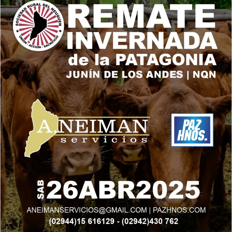 flyer invernada patagonia 2025 flyer invernada patagonia 2025