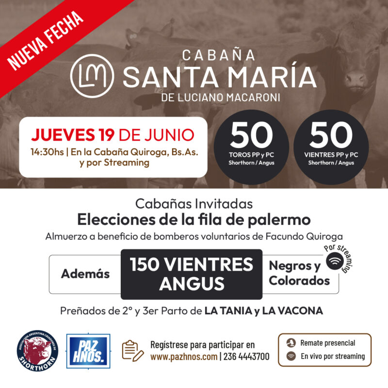 Santa Maria 2025 - Paz hnos_09 copia 6 Santa Maria 2025 - Paz hnos_09 copia 6