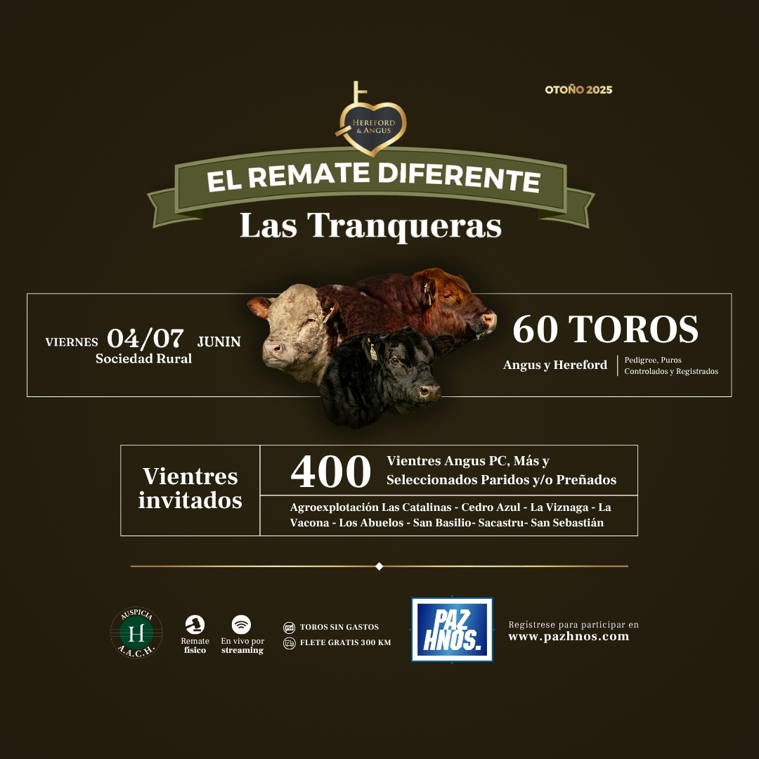 El Remate Diferente - Otoño 2025