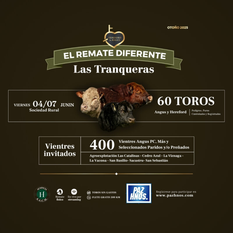 El Remate Diferente - Otoño 2025 El Remate Diferente - Otoño 2025