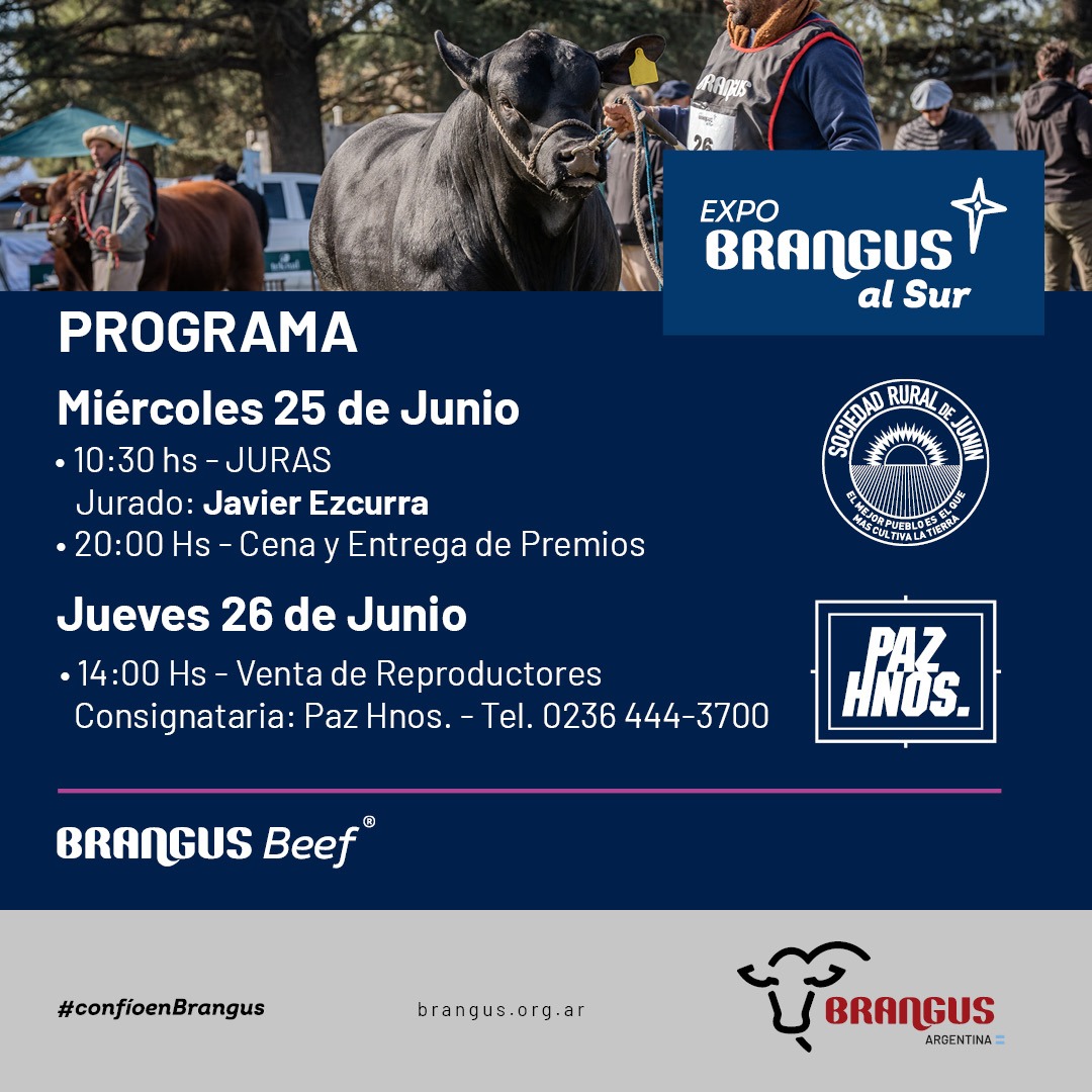 Remate Expo Brangus al Sur 2025