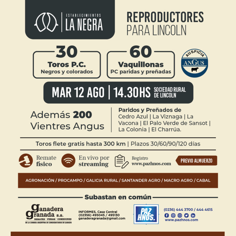 Reproductores Lincoln 2025 Reproductores Lincoln 2025