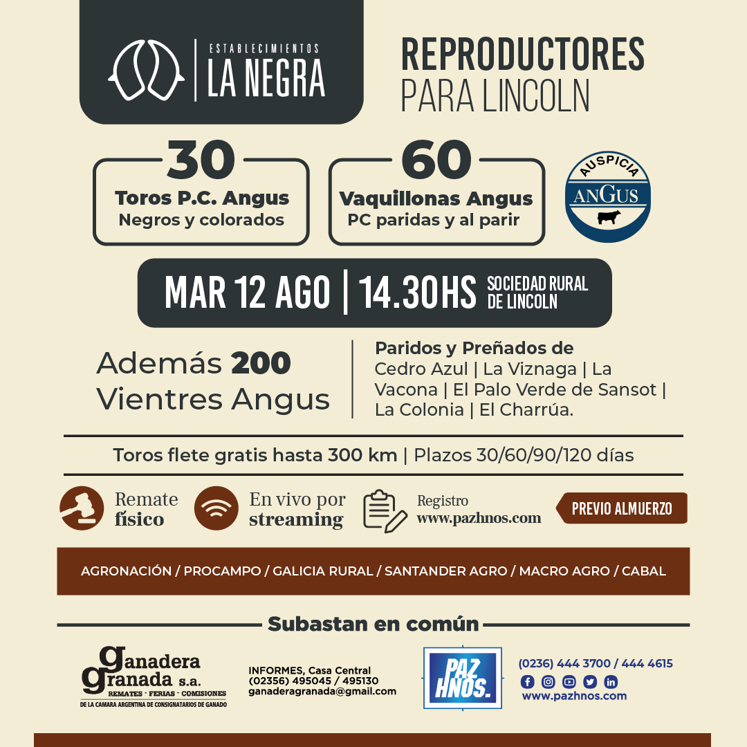Reproductores Lincoln 2025