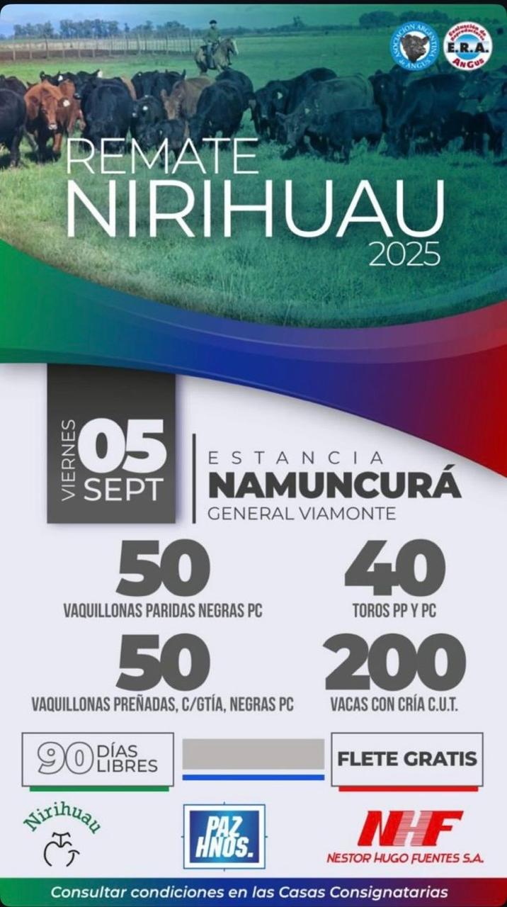 Remate Nirihuau 2025