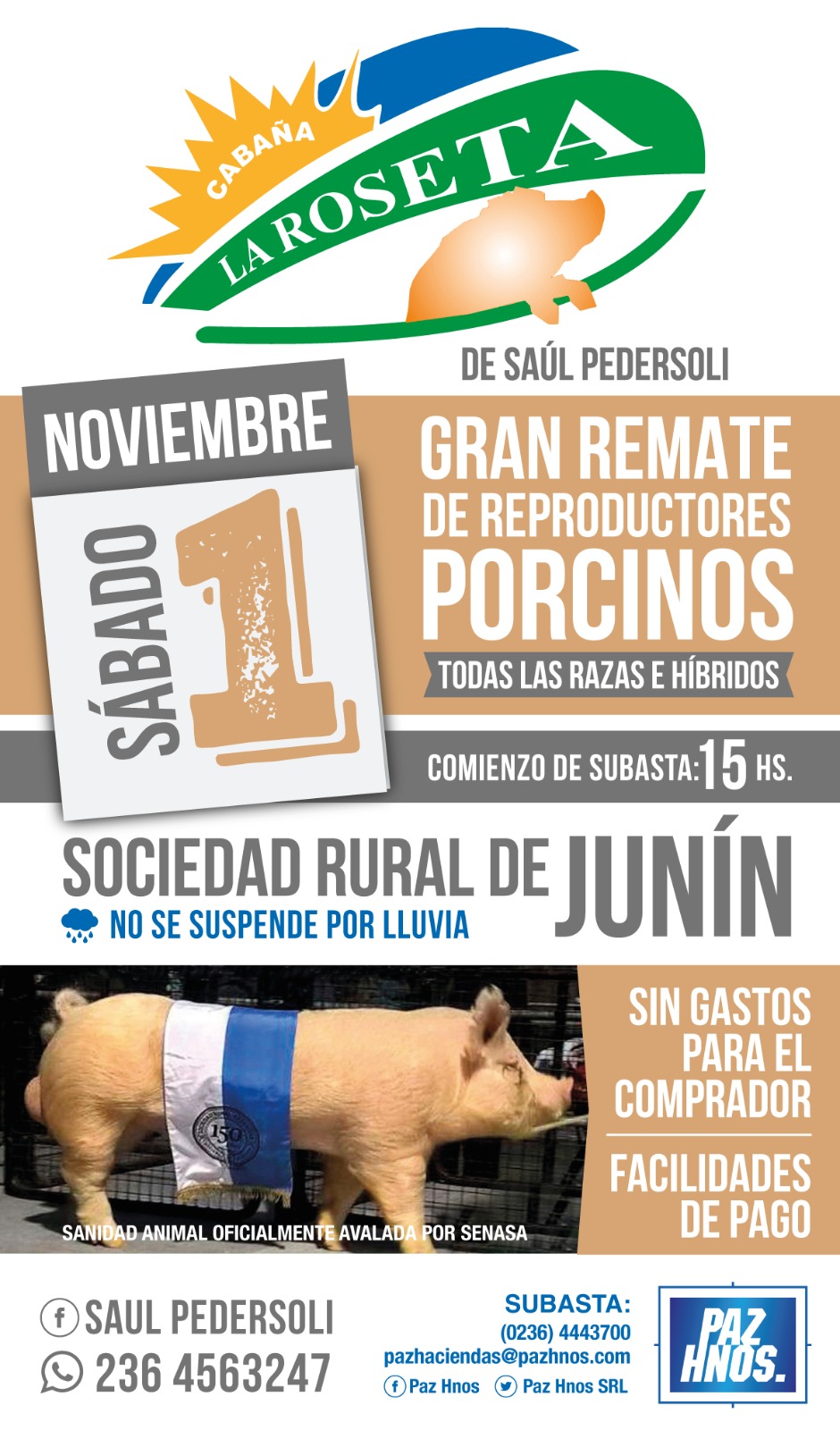 Gran Remate de Reproductores Porcinos 2025