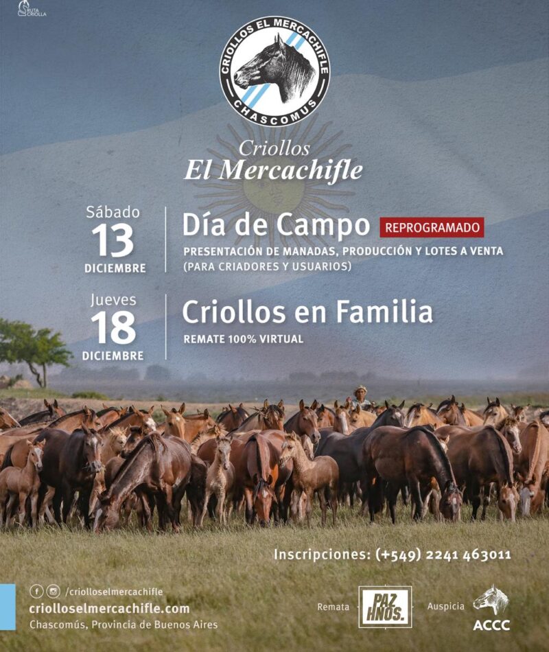 WhatsApp Image 2025-11-25 at 17.57.09 (1)