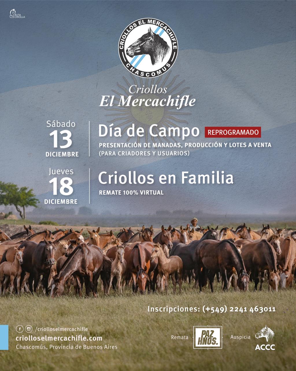 Modalidad Virtual
Remate: 18/12/25
Transmisión por www.pazhnos.com
Catálogo disponible en https://remates.pazhnos.com