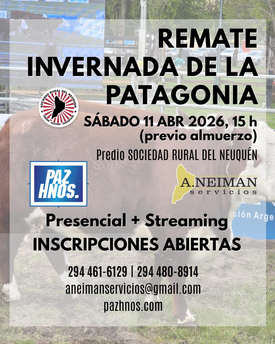 Remate Invernada de la Patagonia 2026