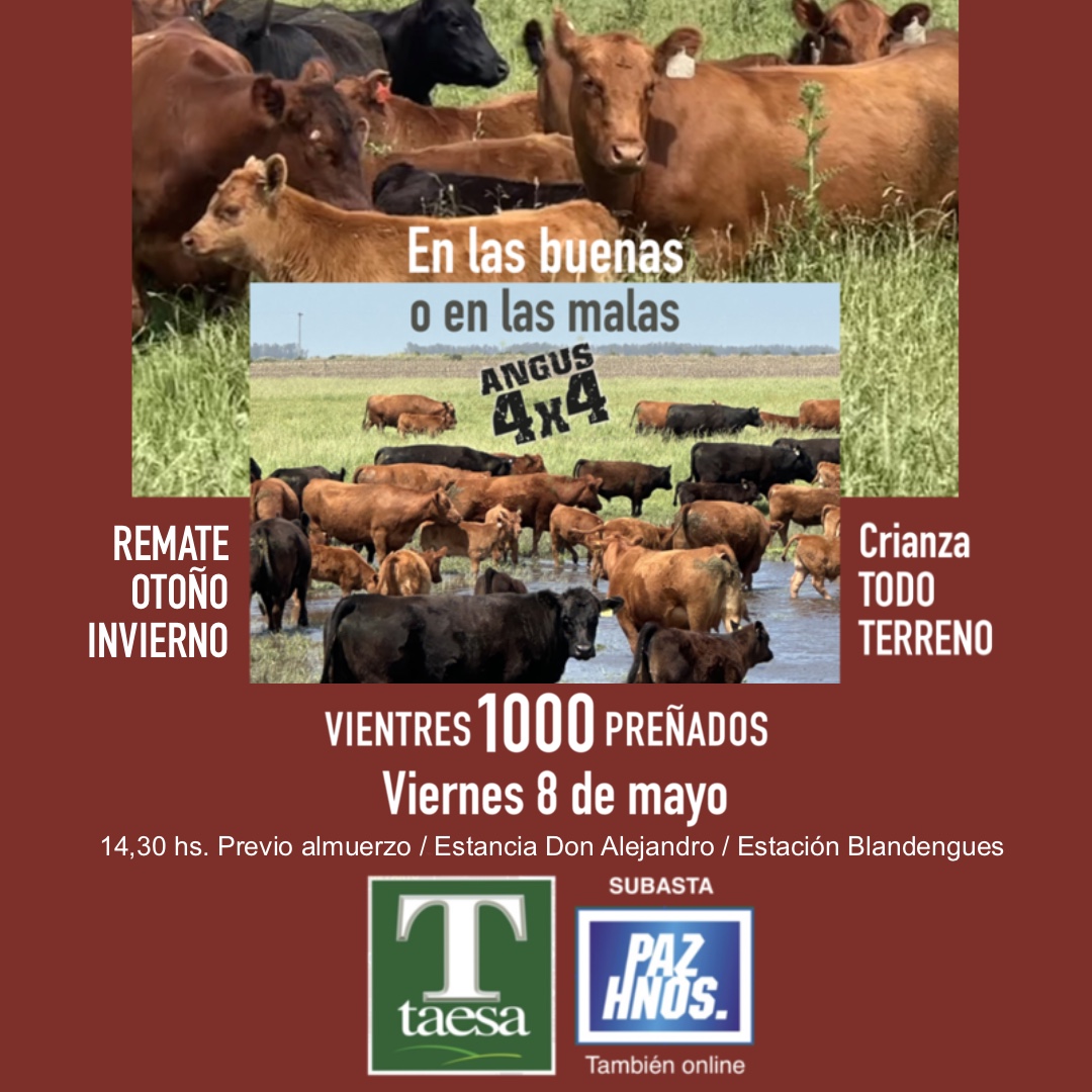 Modalidad | Mixta
Fecha: 08-05-2026 - 14hs
Lugar: Estancia Don Alejandro
Transmisión en vivo por www.pazhnos.com