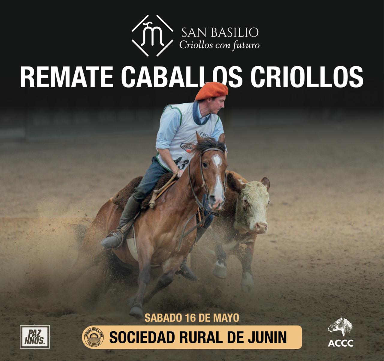 Modalidad Mixta
Remate: 16/05/26
Sociedad Rural de Junín
Catálogo en remates.pazhnos.com