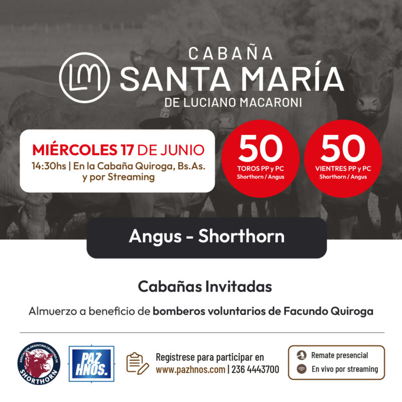 Santa María de Macaroni 2026