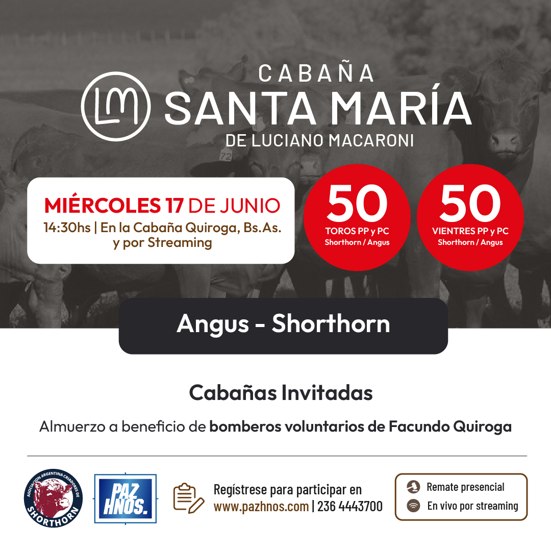 Santa María de Macaroni 2026