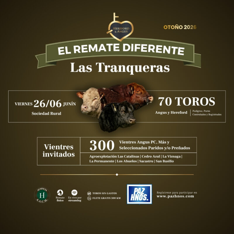 El Remate Diferente - Otoño 2026 El Remate Diferente - Otoño 2026