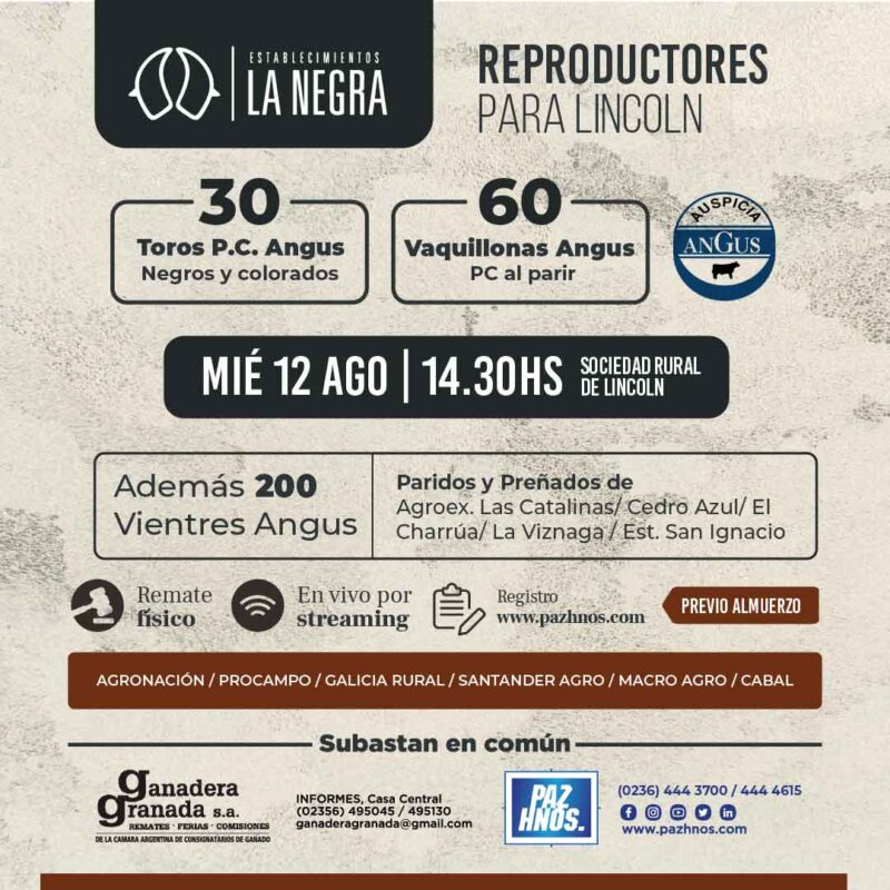 Reproductores Lincoln 2026