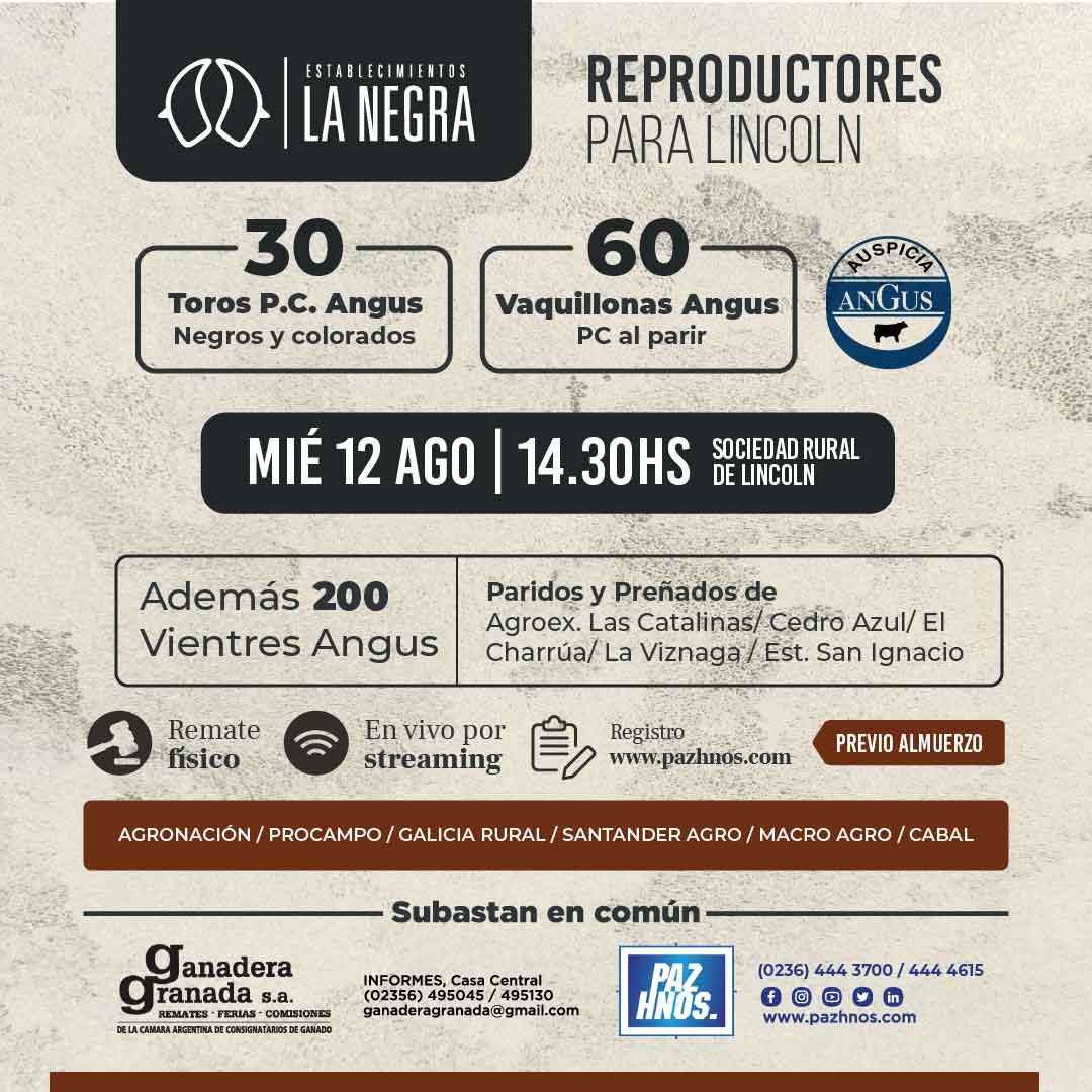 Reproductores Lincoln 2026
