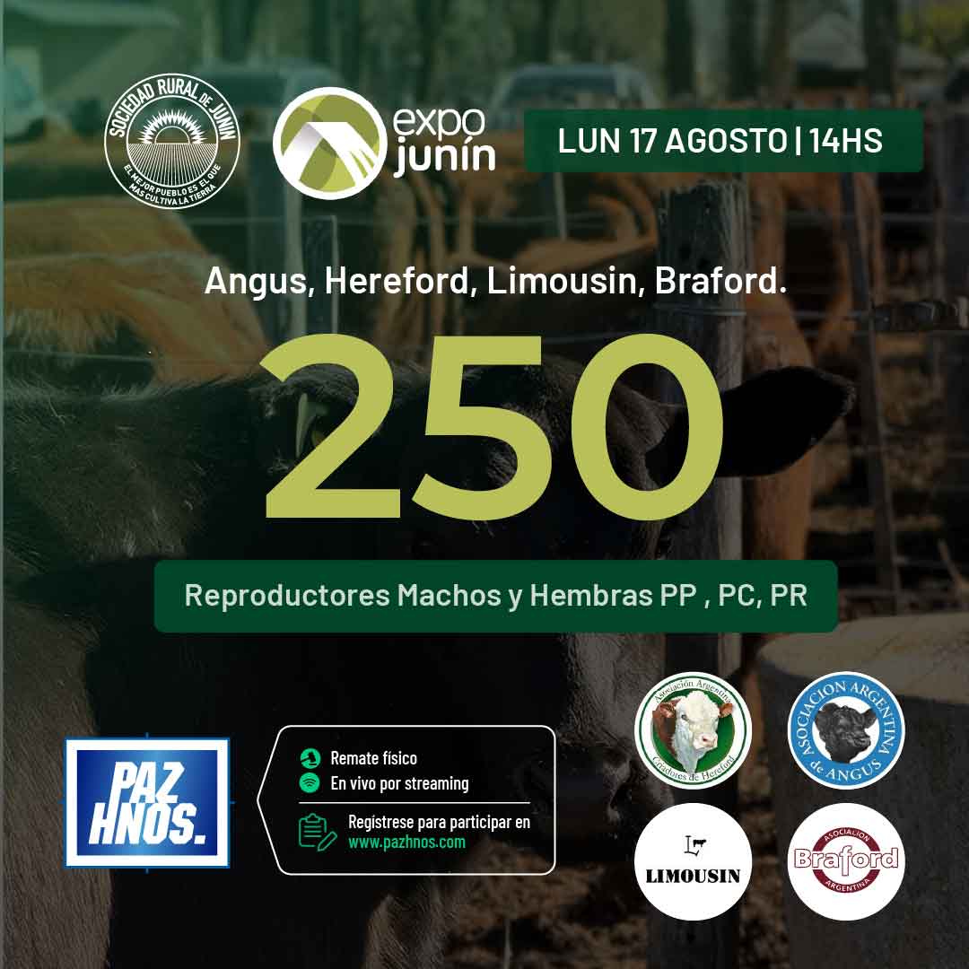 Modalidad | Remate Presencial + Streaming
Lugar: Sociedad Rural de Junín
Fecha: 17 de agosto de 2026 - 14hs
También en vivo por www.pazhnos.com