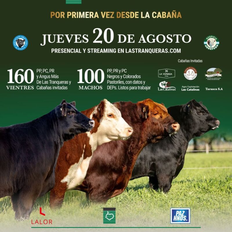 Remate Las Tranqueras 2026